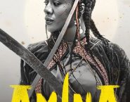 Poster for the movie "Amina"