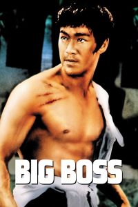 Poster for the movie "The Big Boss"