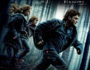 Poster for the movie "Harry Potter and the Deathly Hallows: Part 1"