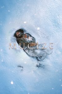 Poster for the movie "Mucize"