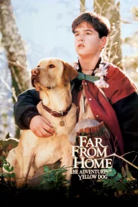 Poster for the movie "Far from Home: The Adventures of Yellow Dog"