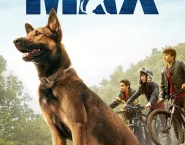 Poster for the movie "Max"