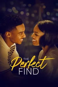 Poster for the movie "The Perfect Find"