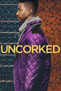 Poster for the movie "Uncorked"